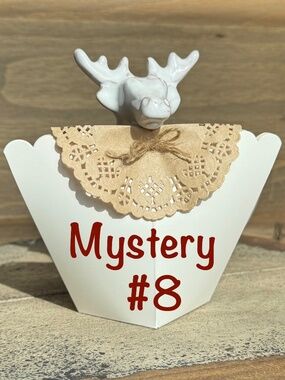 Mystery Jewelry Box #8 - Price Firm